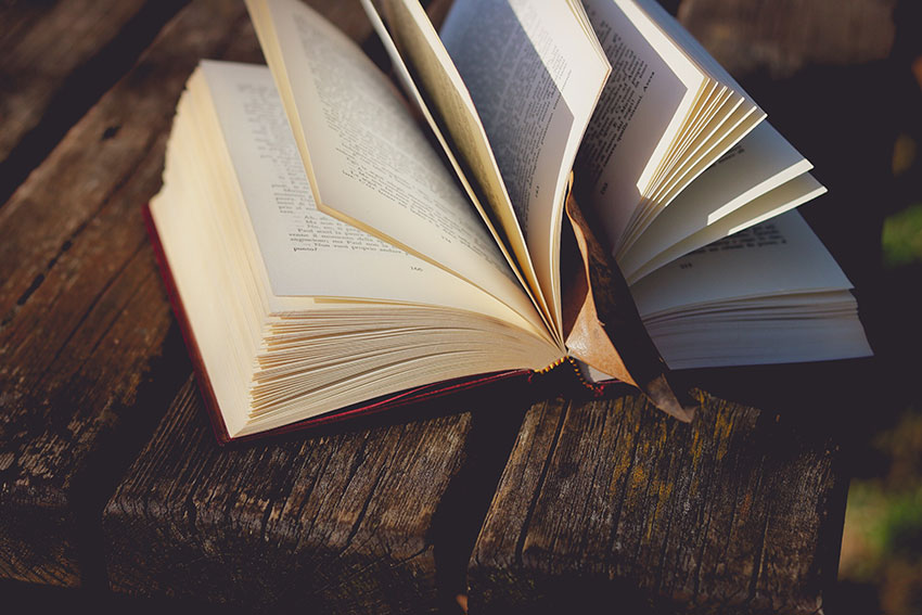 Del cuento a la novela